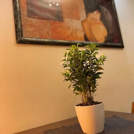 Casa de Férias Romeo *